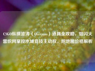 CSGO纵横波涛（Overpass）道具全攻略，烟闪火雷织网掌控水域竞技主动权，附地图价格解析