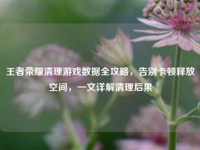 王者荣耀清理游戏数据全攻略，告别卡顿释放空间，一文详解清理后果