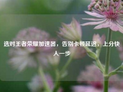 选对王者荣耀加速器，告别卡顿延迟，上分快人一步