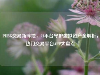 PUBG交易新阵地，91平台守护虚拟资产全解析，热门交易平台APP大盘点