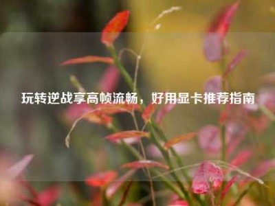 玩转逆战享高帧流畅，好用显卡推荐指南