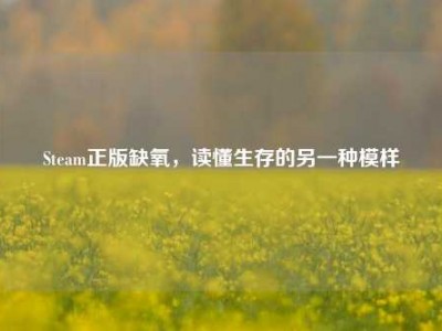 Steam正版缺氧，读懂生存的另一种模样