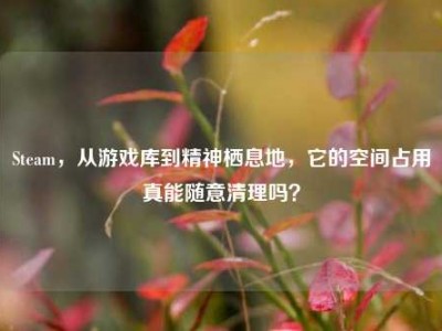 Steam，从游戏库到精神栖息地，它的空间占用真能随意清理吗？