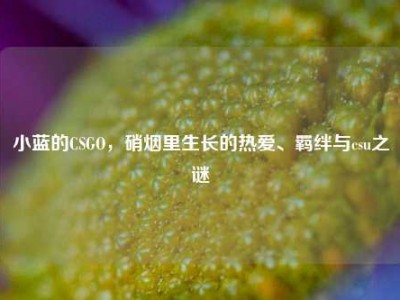 小蓝的CSGO，硝烟里生长的热爱、羁绊与csu之谜