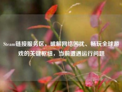 Steam链接服务区，破解网络困扰、畅玩全球游戏的关键枢纽，当前遭遇运行问题