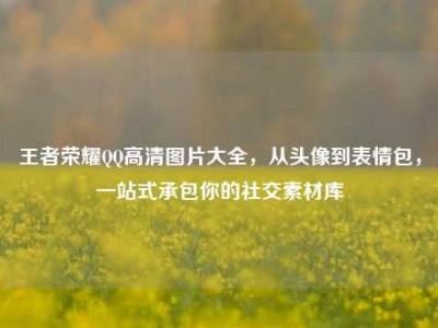 王者荣耀QQ高清图片大全，从头像到表情包，一站式承包你的社交素材库