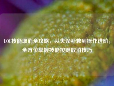 LOL技能取消全攻略，从失误补救到操作进阶，全方位掌握技能按键取消技巧