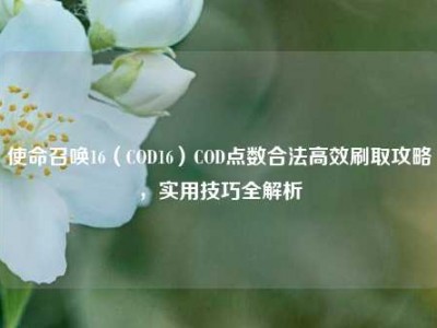 使命召唤16（COD16）COD点数合法高效刷取攻略，实用技巧全解析