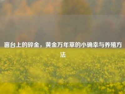 窗台上的碎金，黄金万年草的小确幸与养殖方法