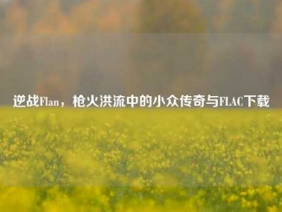 逆战Flan，枪火洪流中的小众传奇与FLAC下载