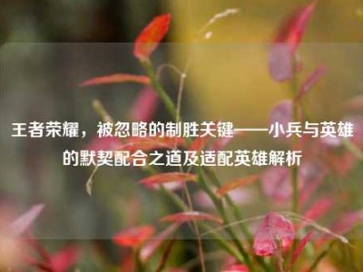 王者荣耀，被忽略的制胜关键——小兵与英雄的默契配合之道及适配英雄解析