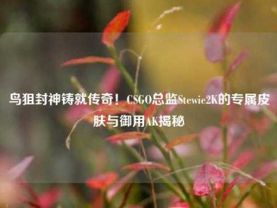 鸟狙封神铸就传奇！CSGO总监Stewie2K的专属皮肤与御用AK揭秘