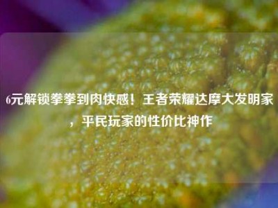 6元解锁拳拳到肉快感！王者荣耀达摩大发明家，平民玩家的性价比神作