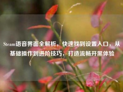 Steam语音界面全解析，快速找到设置入口，从基础操作到进阶技巧，打造流畅开黑体验