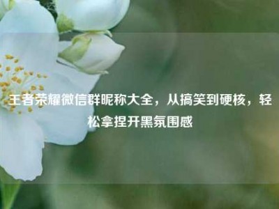 王者荣耀微信群昵称大全，从搞笑到硬核，轻松拿捏开黑氛围感