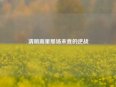 清明雨里那场未竟的逆战