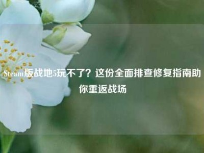 Steam版战地5玩不了？这份全面排查修复指南助你重返战场