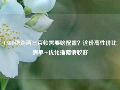 CSGO稳跑两三百帧需要啥配置？这份高性价比清单+优化指南请收好