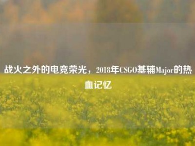 战火之外的电竞荣光，2018年CSGO基辅Major的热血记忆