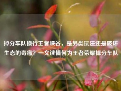 掉分车队横行王者峡谷，是另类玩法还是破坏生态的毒瘤？一文读懂何为王者荣耀掉分车队
