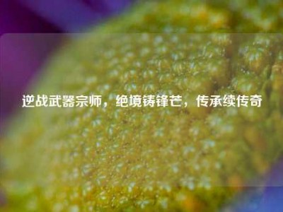 逆战武器宗师，绝境铸锋芒，传承续传奇