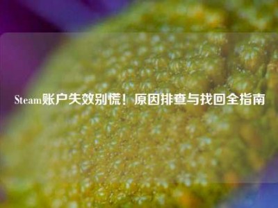 Steam账户失效别慌！原因排查与找回全指南