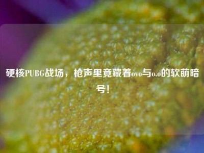 硬核PUBG战场，枪声里竟藏着ovo与o.o的软萌暗号！