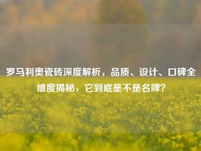 罗马利奥瓷砖深度解析，品质、设计、口碑全维度揭秘，它到底是不是名牌？