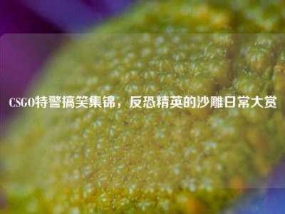 CSGO特警搞笑集锦，反恐精英的沙雕日常大赏