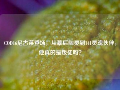 COD16尼古莱登场，从幕后幽灵到141灵魂伙伴，他真的是叛徒吗？
