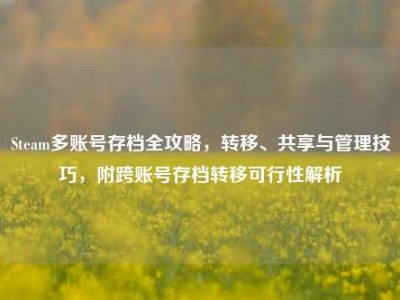 Steam多账号存档全攻略，转移、共享与管理技巧，附跨账号存档转移可行性解析