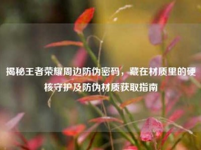 揭秘王者荣耀周边防伪密码，藏在材质里的硬核守护及防伪材质获取指南