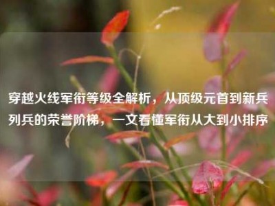 穿越火线军衔等级全解析，从顶级元首到新兵列兵的荣誉阶梯，一文看懂军衔从大到小排序