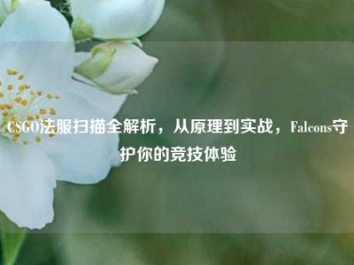 CSGO法服扫描全解析，从原理到实战，Falcons守护你的竞技体验