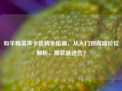 和平精英声卡选购全指南，从入门到高端价位解析，哪款最适合？