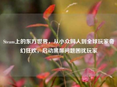 Steam上的东方世界，从小众同人到全球玩家奇幻狂欢，启动黑屏问题困扰玩家