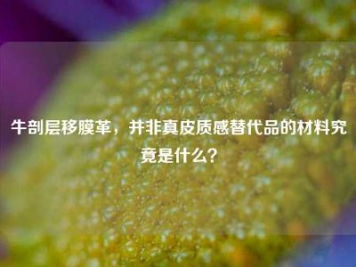 牛剖层移膜革，并非真皮质感替代品的材料究竟是什么？