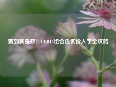 薅到就是赚！COD16组合包低价入手全攻略