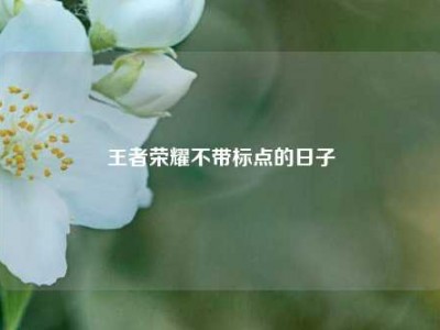 王者荣耀不带标点的日子