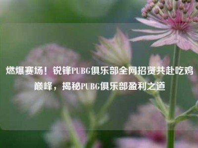 燃爆赛场！锐锋PUBG俱乐部全网招贤共赴吃鸡巅峰，揭秘PUBG俱乐部盈利之道