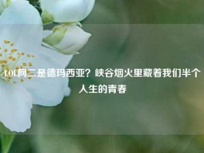 LOL网二是德玛西亚？峡谷烟火里藏着我们半个人生的青春