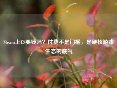 Steam上CS要钱吗？付费不是门槛，是硬核游戏生态的底气