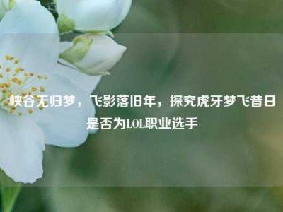 峡谷无归梦，飞影落旧年，探究虎牙梦飞昔日是否为LOL职业选手