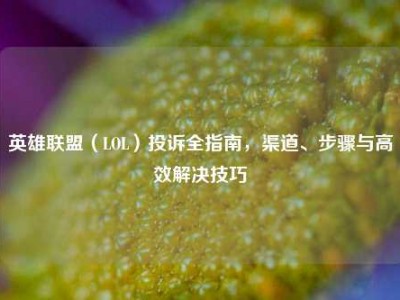 英雄联盟（LOL）投诉全指南，渠道、步骤与高效解决技巧
