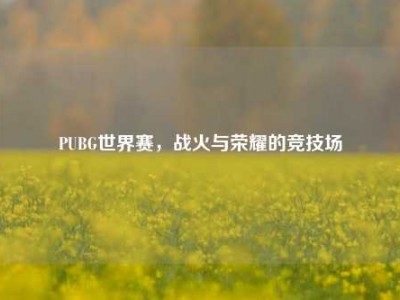 PUBG世界赛，战火与荣耀的竞技场