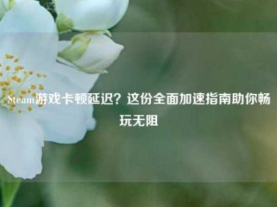 Steam游戏卡顿延迟？这份全面加速指南助你畅玩无阻