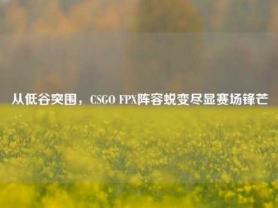 从低谷突围，CSGO FPX阵容蜕变尽显赛场锋芒