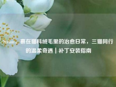Steam，裹在猫科绒毛里的治愈日常，三猫同行的温柔奇遇｜补丁安装指南