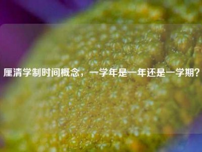 厘清学制时间概念，一学年是一年还是一学期？