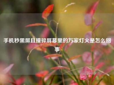 手机秒黑屏且撞碎屏幕里的万家灯火是怎么回事